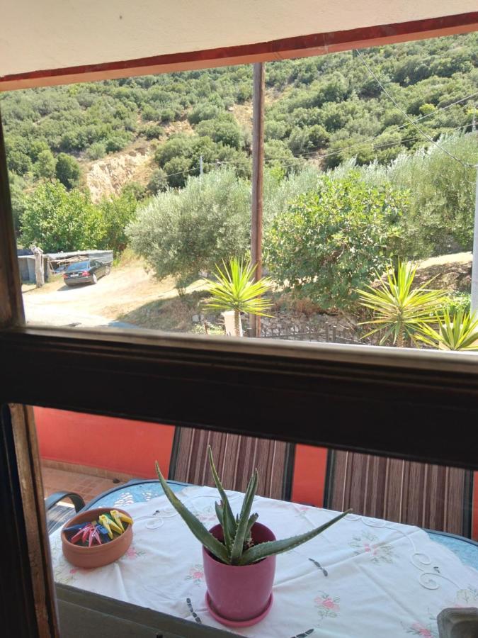 Maisonette Maria-For Tranquility Sykia Chalkidikis Buitenkant foto